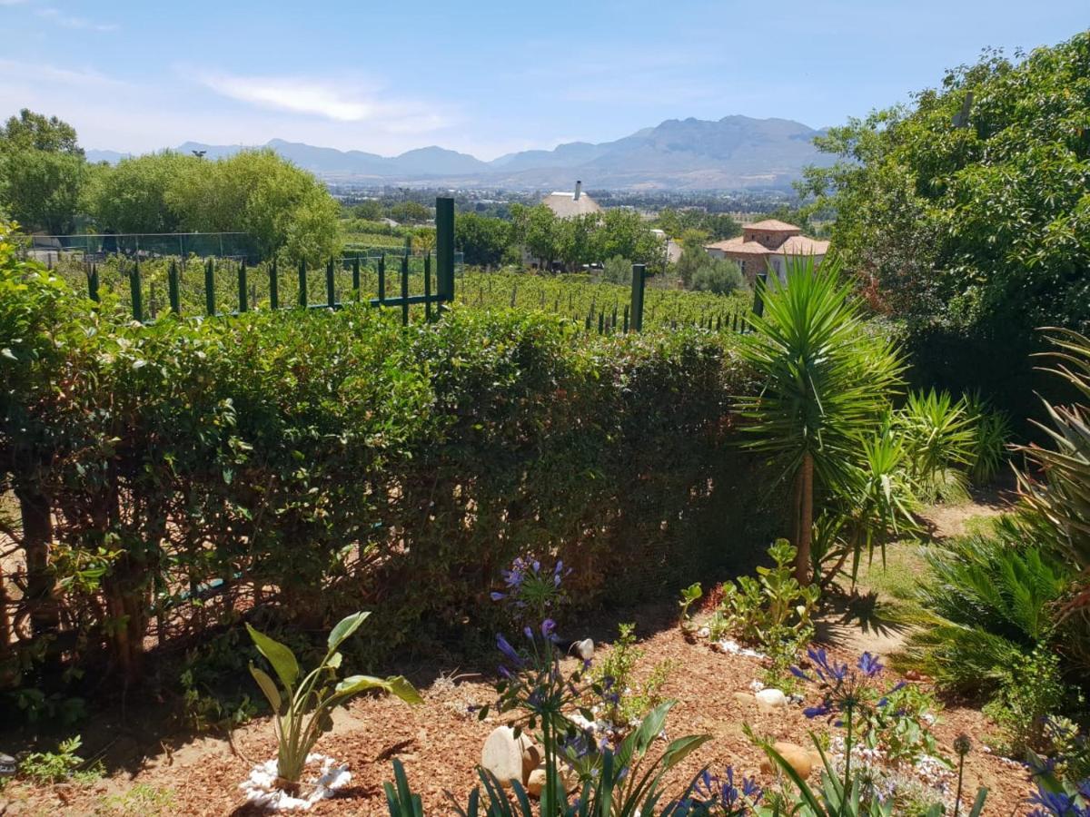 De Wingerd Wijnland Lodge Paarl Εξωτερικό φωτογραφία